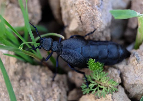 Smích a Gafy: Když Vývojáři Přehlédnou Drobné Chyby!
